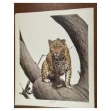 "Leopard Stare" By Guy Cohelach