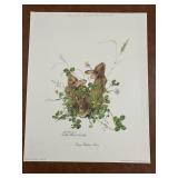 1976 "Young Rabbits" Sally Ellington Misoleton