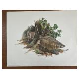 "American Badger" By Balke Signed Limited