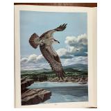 "The Osprey" By Don Balke Signed / Limited