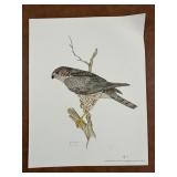 Signed R. Simmons Print