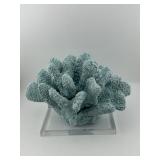 Faux Coral Sculpture on Acrylic Base