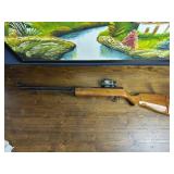 Pellet Rifle with Red Dot Scope