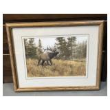 John Tayson Elk Framed and Matted Print