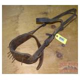 Vintage Calf Weaner.