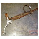 Bridle W/ Sliester Bit.
