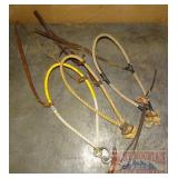 Assorted Hackamores.