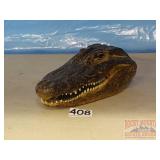 Small Caiman Head. 9' long. Small Caiman Head. 9' long.