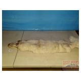 Tanned Animal Hide W/ Light Fur. Tanned Animal Hide W/ Light Fur.