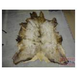 Tanned Animal Hide on Felt. 40X29. Tanned Animal Hide on Felt. 40X29.