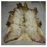 Large Tanned Elk Hide, 69'X52'. Large Tanned Elk Hide, 69'X52'.