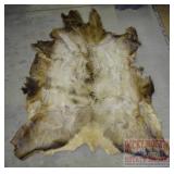 Large Tanned Elk Hide, 69"X52".