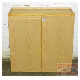 2 Door Wall Mount Cabinet.