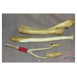 Assorted Large Bones & Antler Pieces.