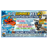 Is It Summer Yet #2 Massive Online Auction