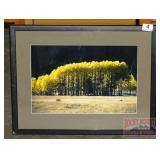 Beautiful Framed "Fall Trees" Print.