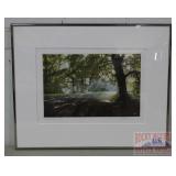 'Summer Shade' LE Signed Etching.
