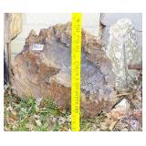 Large 19' Petrified Wood Slab. Large 19' Petrified Wood Slab.