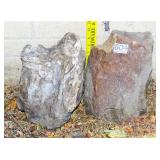 2 10" Petrified Wood Slabs.