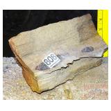 Petrified Wood Slab, 5' high. Petrified Wood Slab, 5' high.