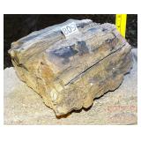 Petrified Wood Slab, 5' high. Petrified Wood Slab, 5' high.