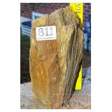 Petrified Wood Slab. Petrified Wood Slab.