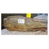 Petrified Wood Slab, 3' high. Petrified Wood Slab, 3' high.