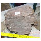 10' Petrified Wood Round. 10' Petrified Wood Round.