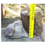 2 Pieces of Petrified Wood, Largest is 8' high. 2 Pieces of Petrified Wood, Largest is 8' high.