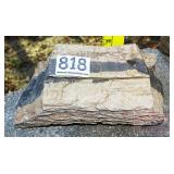 Two Tone Petrified Wood Slab, 3' high. Two Tone Petrified Wood Slab, 3' high.