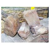 4 Pieces Petrified Wood. Tallest is 6'. 4 Pieces Petrified Wood. Tallest is 6'.