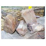 4 Pieces Petrified Wood. Tallest is 6".