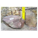 2 Pieces Petrified Wood. Tallest is 6' high. 2 Pieces Petrified Wood. Tallest is 6' high.