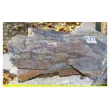 10' Petrified Wood Slab. 10' Petrified Wood Slab.