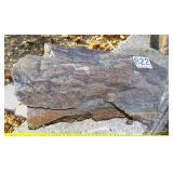 10" Petrified Wood Slab.