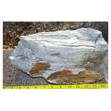 14" Petrified Wood Slab.