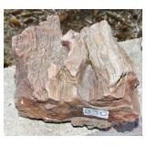 Petrified Wood Round. 5' Diameter. Petrified Wood Round. 5' Diameter.