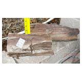 2 Pieces Petrified Wood. Largest is 4' high. 2 Pieces Petrified Wood. Largest is 4' high.