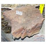 6" Petrified Wood Slab.