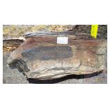 Petrified Wood Slab, 4' high. Petrified Wood Slab, 4' high.