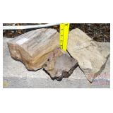 3 Pieces of Petrified Wood. Largest is 5" high.