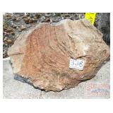 Petrified Wood Slab, 6.5' high. Petrified Wood Slab, 6.5' high.