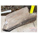 Petrified Wood Slab, 5' high. Petrified Wood Slab, 5' high.