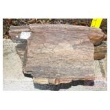 Petrified Wood Slab. 4' high. Petrified Wood Slab. 4' high.
