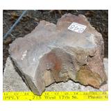 10' Petrified Wood Round. 10' Petrified Wood Round.