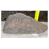 Petrified Wood Slab, 5' high. Petrified Wood Slab, 5' high.