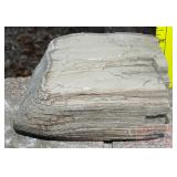 Petrified Wood Slab. Petrified Wood Slab.