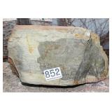 Two Tone Petrified Wood Slab.