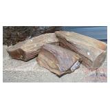 3 Pieces of Petrified Wood. 3 Pieces of Petrified Wood.