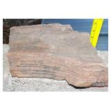 Petrified Wood Slab.